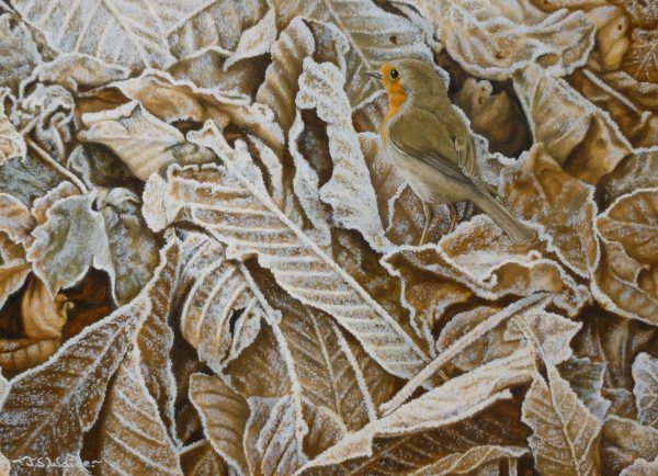 X (SOLD) Morning Frost (Robin)