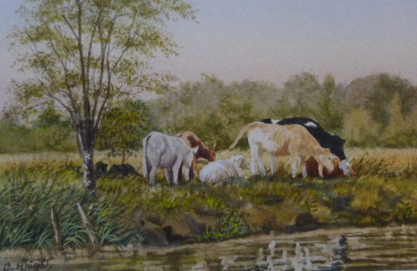 Grazing on The Bure