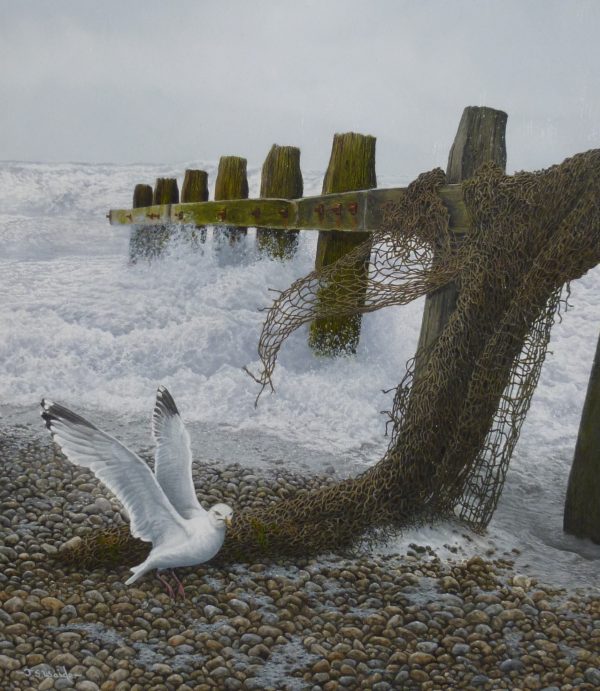 X (SOLD) Time and Tide (Herring Gull)