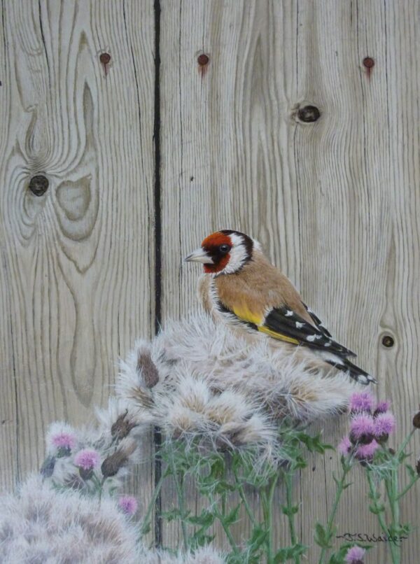 X (SOLD) A Gold Finch