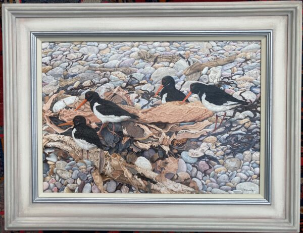 “A” – New Painting Showing the Frame of “Walking the Line” (Oyster Catchers)