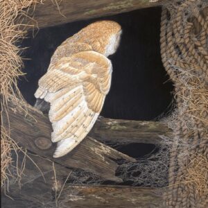 “House Hunting” (Barn Owl)