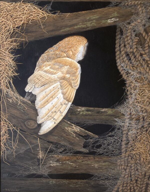 “House Hunting” (Barn Owl)