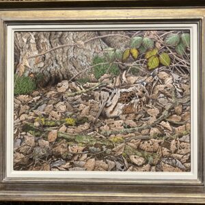 Hiding Place (Woodcock) – Showing the Frame