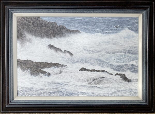 Crashing Surf against the rocks (Herring Gull) – Showing the Frame
