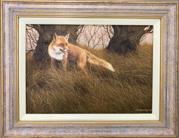 Fox in Long Grass – Showing the Frame