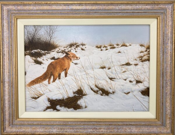 Fox in Winter – Showing the Frame