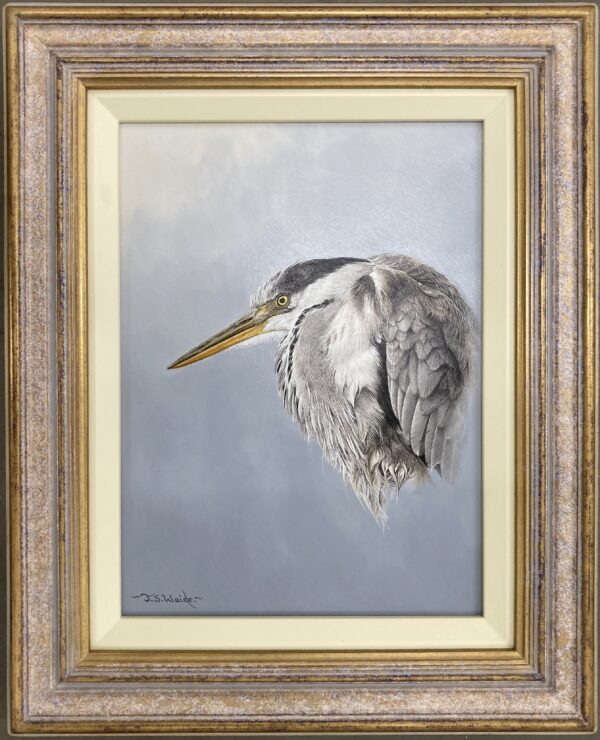 Heron – Showing the Frame