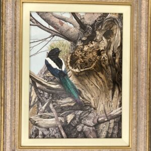 A Magpie – Showing the Frame