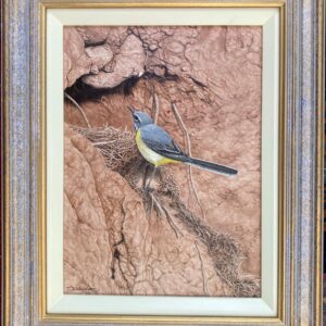 A Grey Wagtail – Showing the Frame