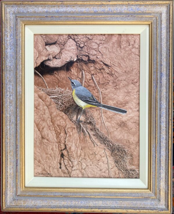 A Grey Wagtail – Showing the Frame
