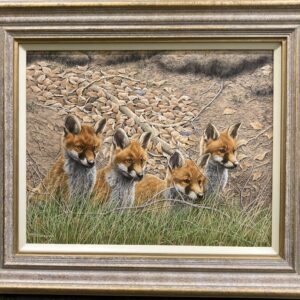 Fox Cubs – Waiting for Mum! – Showing the Frame
