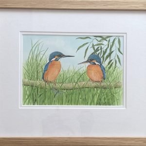 Kingfishers – Showing the Light Oak Frame