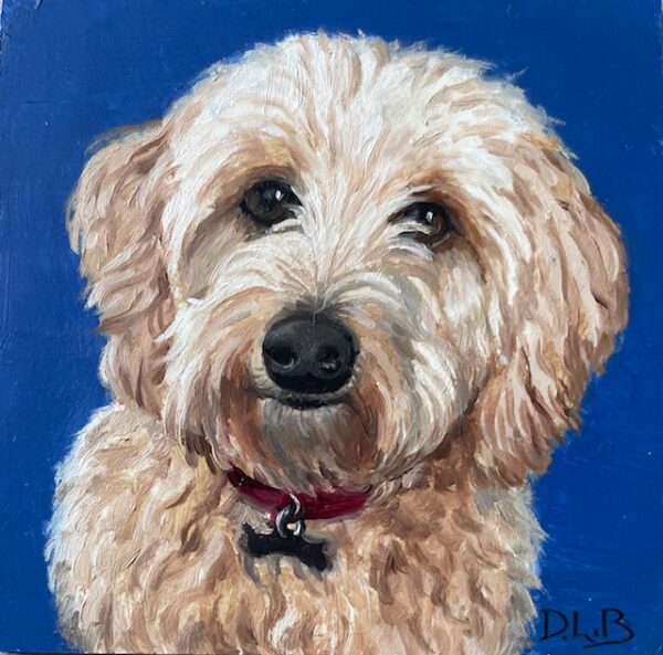 A ‘Pet’ Miniature – Treats Please